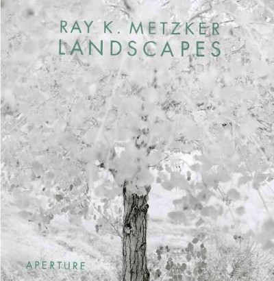 Ray K. Metzker : landscapes / Evan H. Turner.