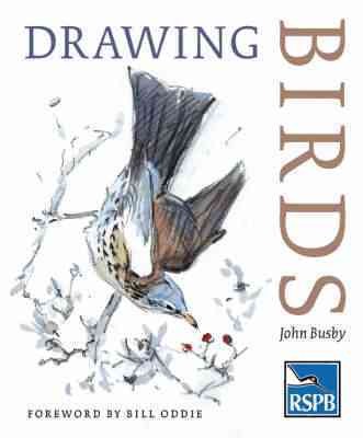 Drawing birds / John Busby ; [foreword by Bill Oddie].