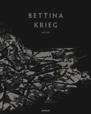 Bettina Krieg : Abysse / [Herausgeber, Thomas Andrae, Moritz Kaufmann ; Autoren, Christian Ganzenberg, Ludwig Seyfarth ; Übersetzung, Gillian Morris].