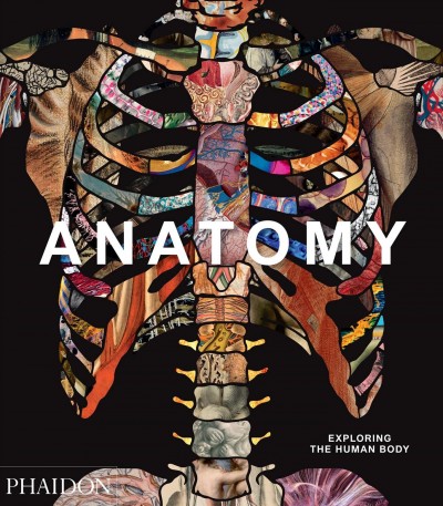 Anatomy : exploring the human body.