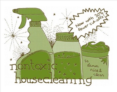 Nontoxic housecleaning / Raleigh Briggs.