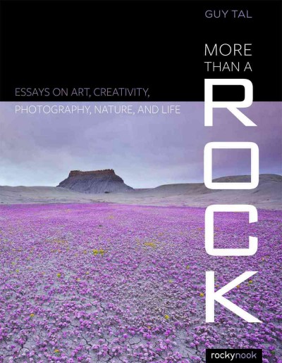 More than a rock : essays on art, creativity, photography, nature, and life / Guy Tal.