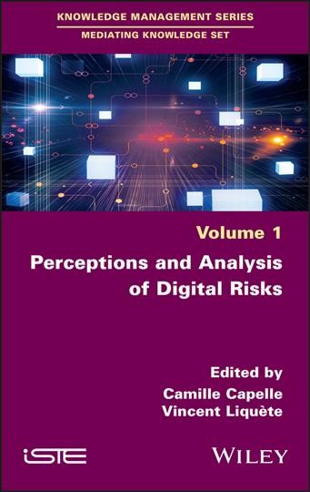 Perceptions and analysis of digital risks edited by Camille Capelle, Vincent Liquete.