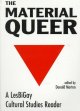 Go to record The material queer : a LesBiGay cultural studies reader