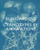 Sun gardens : cyanotypes by Anna Atkins  Cover Image