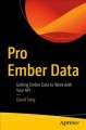 Pro Ember Data : getting Ember Data to work with your API  Cover Image