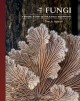 The lives of fungi : a natural history of our planet's decomposers  Cover Image