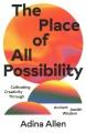 The place of all possibility : cultivating creativity through ancient Jewish wisdom  Cover Image